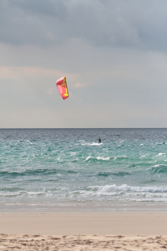 IMG_2921_k.jpg