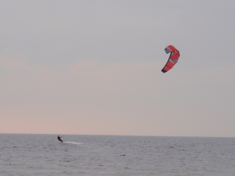 P9040362_k.jpg