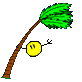 iswind :palm: